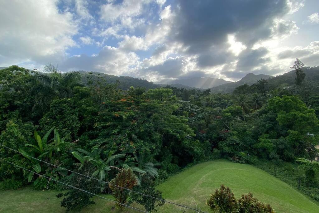 Rainforest Retreat 15 Min From The Beach ルキリョ エクステリア 写真