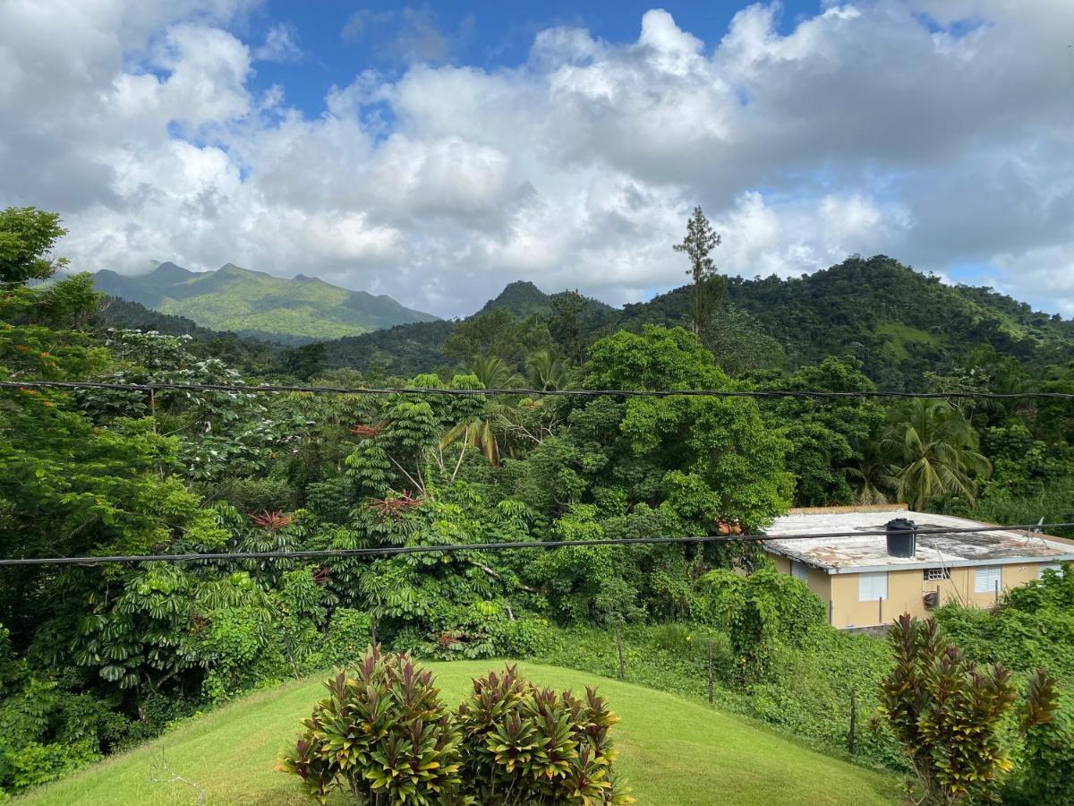 Rainforest Retreat 15 Min From The Beach ルキリョ エクステリア 写真