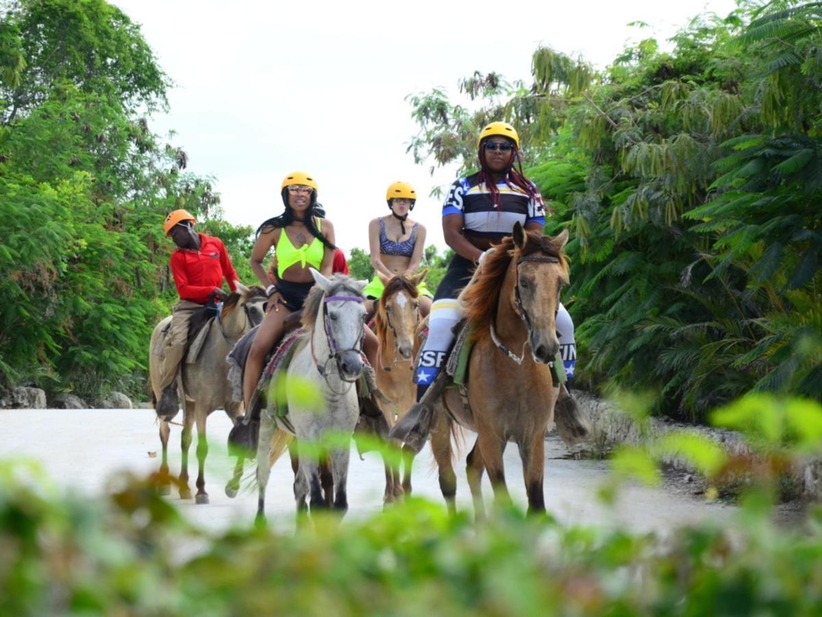 Rainforest Retreat 15 Min From The Beach ルキリョ エクステリア 写真