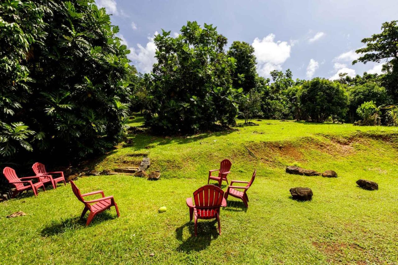 Rainforest Retreat 15 Min From The Beach ルキリョ エクステリア 写真