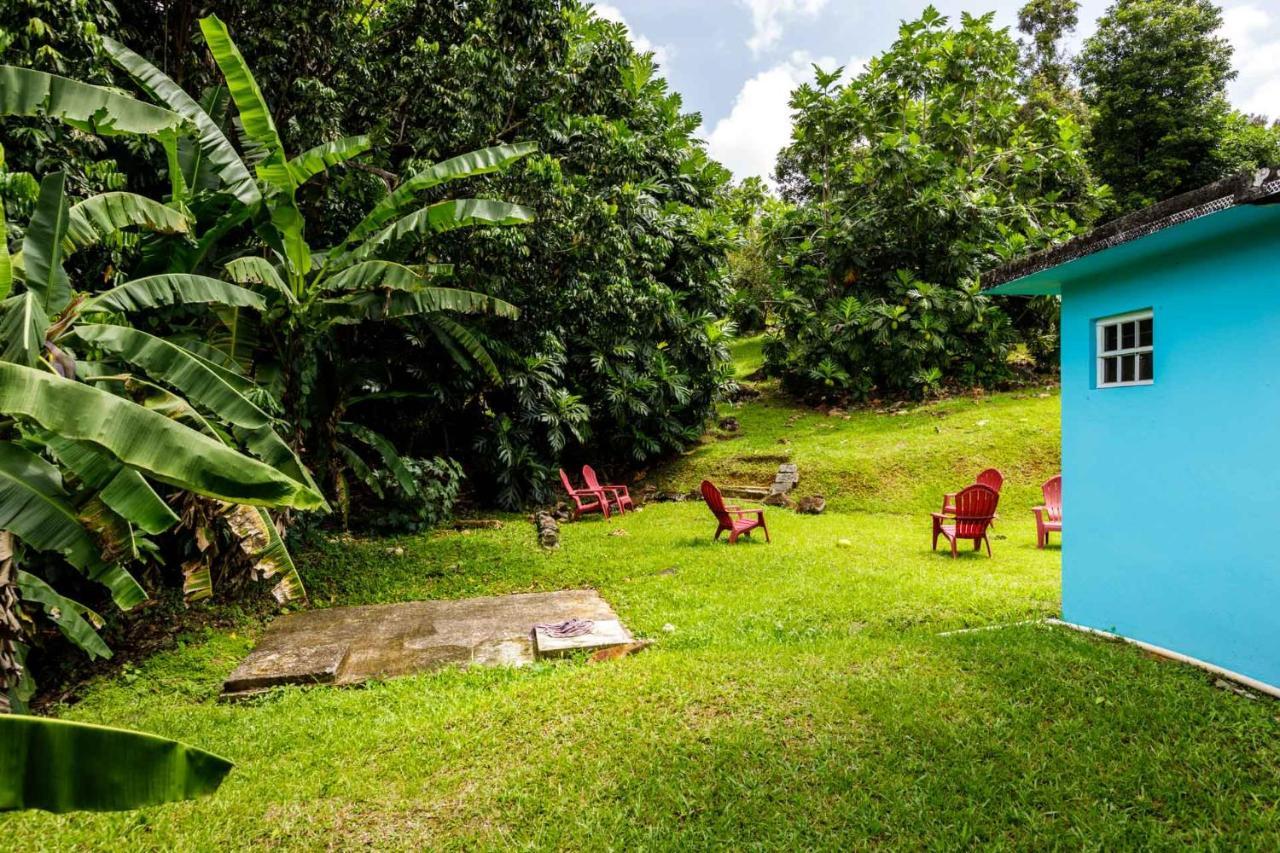 Rainforest Retreat 15 Min From The Beach ルキリョ エクステリア 写真