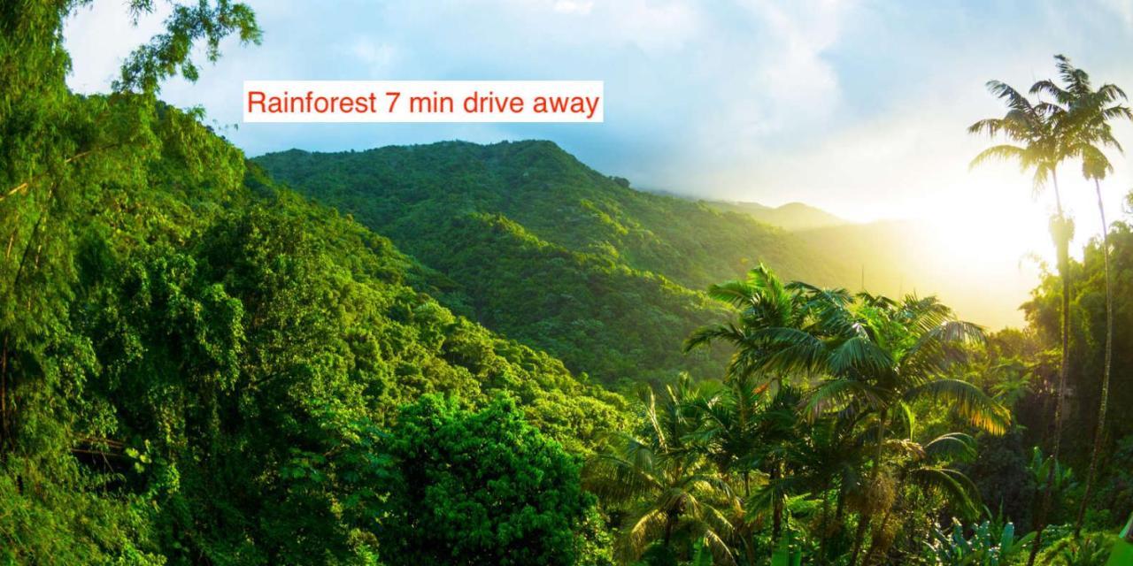 Rainforest Retreat 15 Min From The Beach ルキリョ エクステリア 写真